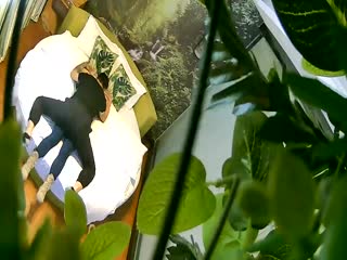 會有同事進來的，以後怎麽見人啊？