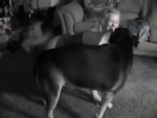 口爆调教广州巨乳兼职学生，学生可约