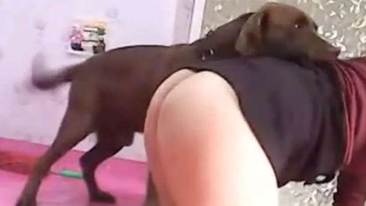 高富帅泡良大神『我的枪好长』爆肏考研大学生，让她趴着掰开她的骚穴让我直入小翘臀，抱起来操到腿软