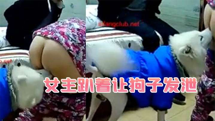 很极品的小妹子自慰口活技术无敌 还表演洒尿给网友看