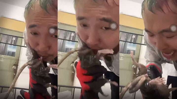 Caribbeancom 012424001 マンコ図鑑 佐々木優奈 Watch for free