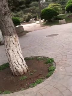 031623001 痴魔女が一心不乱にヤりまくる！: 星野みき 20230316 Info Only