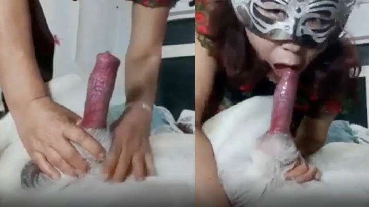 网调 聊骚 真实 拉丝妹妹情趣黑丝 怒射