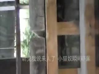 路边搭讪到超骚欲女空姐长期飞国外吃不饱！这次让她吃到爽性爱buffet招待 宽哥DrSex