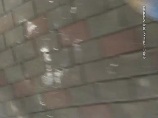 DNIN008流出 残酷猟奇性拷問.忍 号泣の女捜査官 Vol.8cd6