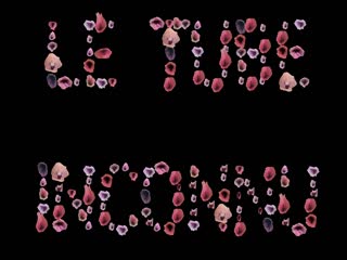 珍藏小穴精选 看看加纳绘里香的阴部 加纳えりか 10musume_022325_01