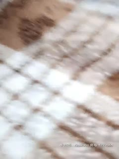 松村菜央美乳嫩妹全程认真伺候！打扫清洁时口交服务不停歇 番号10musume_032824_01