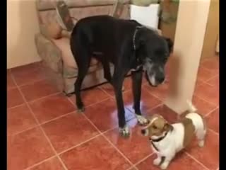 约妹达人今夜激情上演，大场面令人血脉贲张！