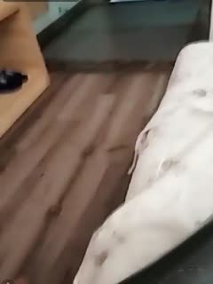 很有深度的少女 极品人妻少妇琳琳剧情演绎母子乱伦! 爸爸不在家 与鸡巴粗大的三个儿子群P啪啪1