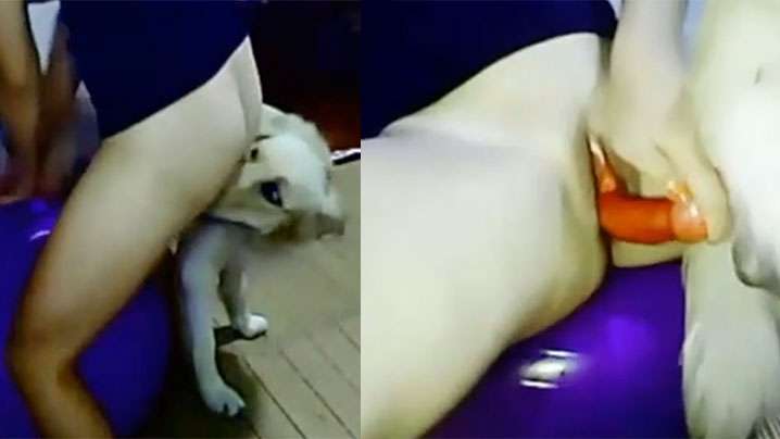 大连艺术学院【周诗琦】性爱调教视频遭前男友曝光学校里教书育人酒店里化身榨精母狗极度反差！