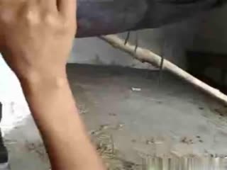 與出差時來家裡住的叔母同居生活 無防備過頭工作結束後悶濕肉感褲襪姿態讓我理性瘋狂 。 水野優香 ROE217