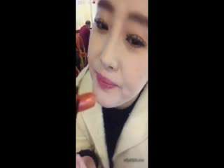 黄冈科兴小母狗