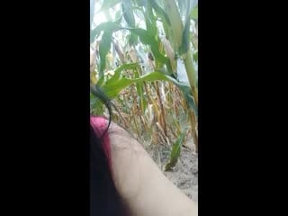 麻豆台湾第一女优吴梦梦调情酒吧微醺后的疯狂做爱